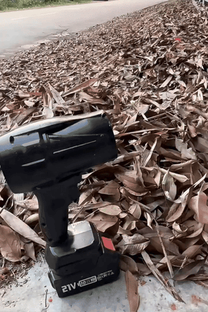 Blower Turbo Fan with 48V Large Battery | 2 Batteries | Box and charger